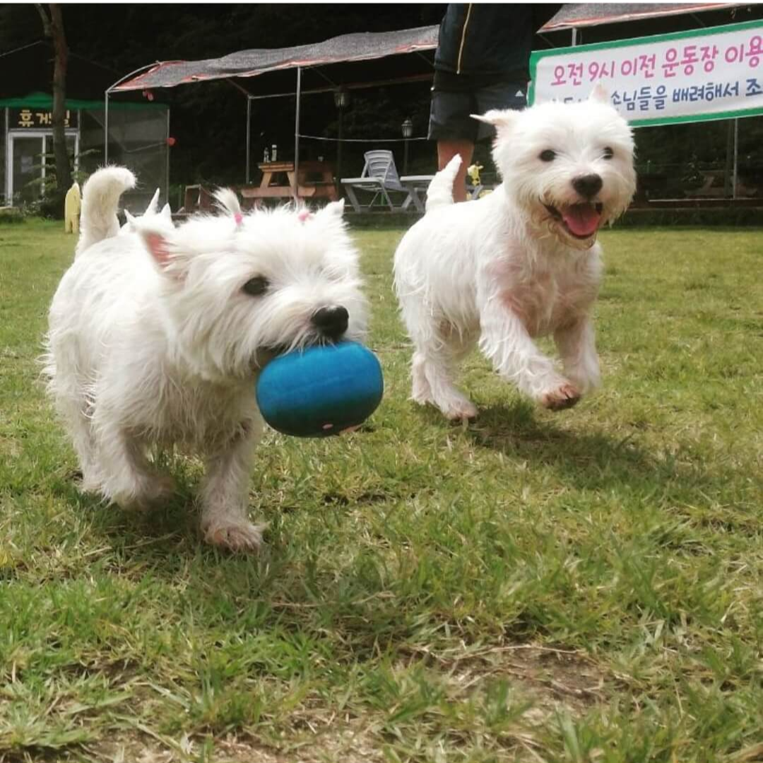 CJ대한통운 택배