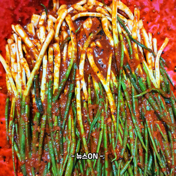 파김치 맛있게 담그는법