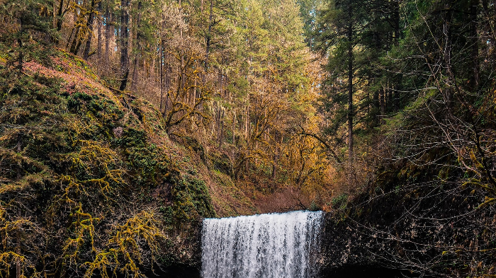 The impact of environmental factors 4