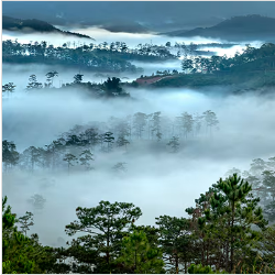 제주항공 베트남 특가항공권 예약