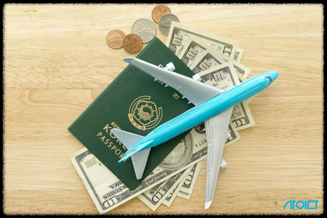 제주항공 대안-대한항공 vs 아시아나 비교