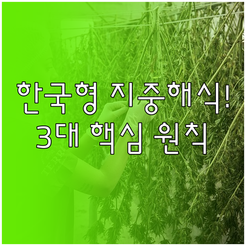 지속 가능한 건강 식단 한국형 지중해..