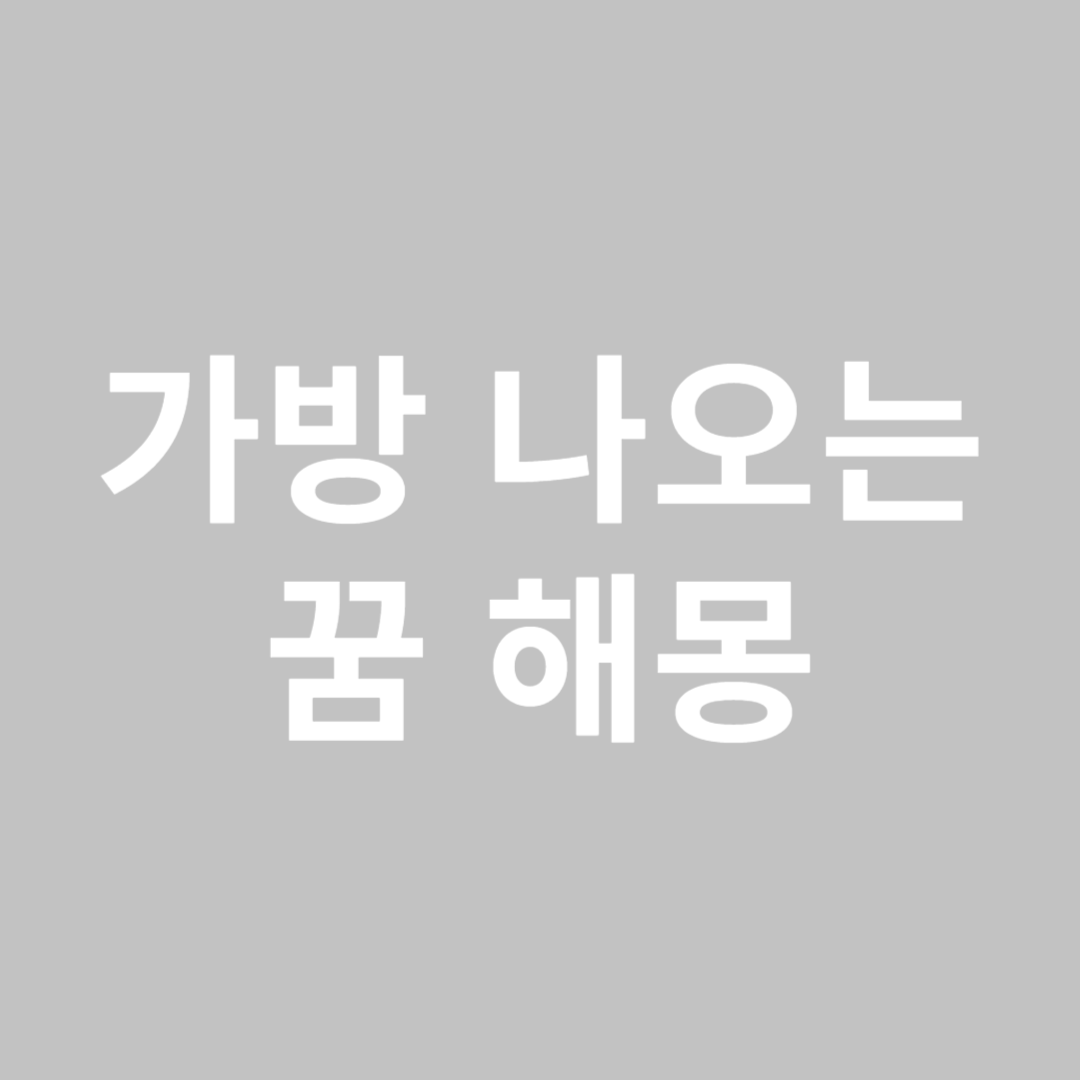 가방 나오는 꿈