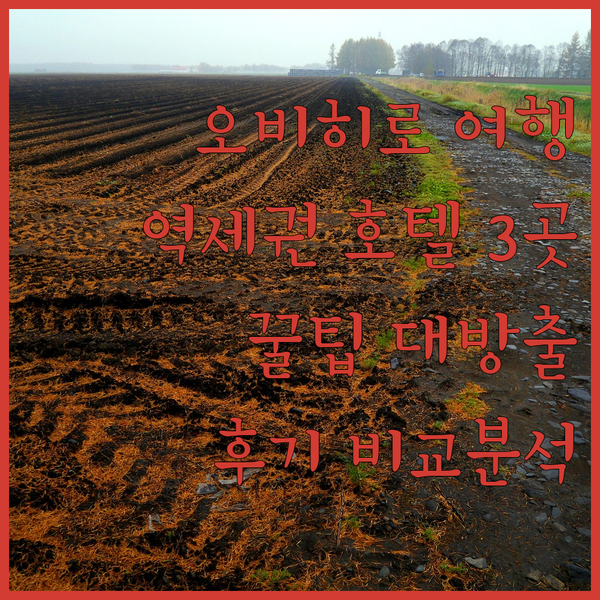 오비히로 여행 꿀팁 대방출 역세권 호