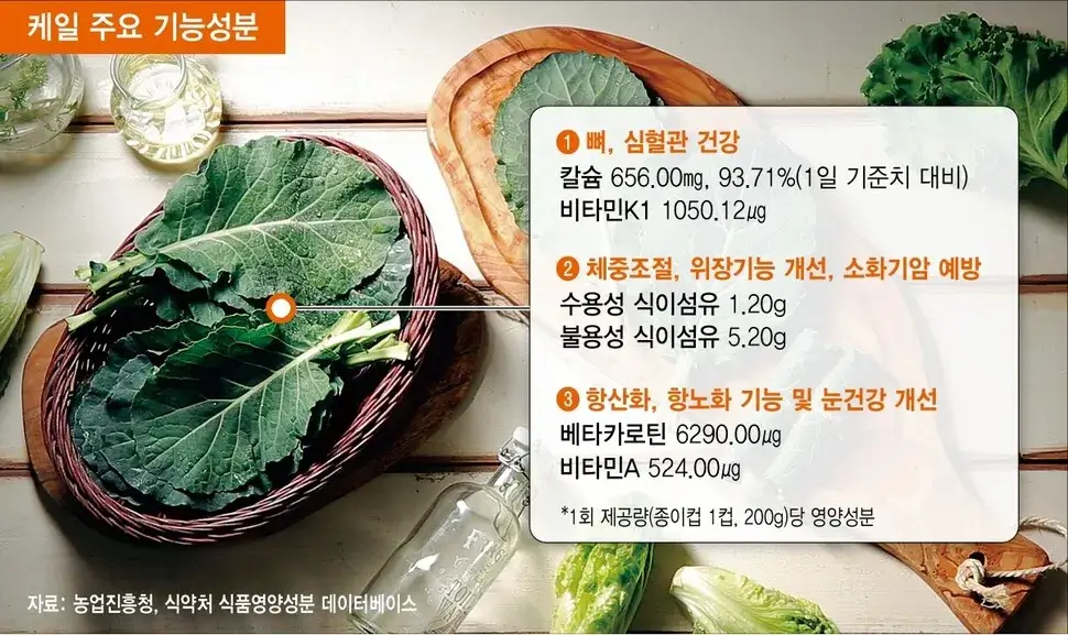 케일의 건강 보조 역할