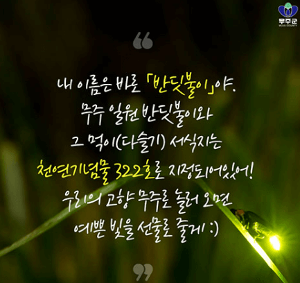 무주반딧불축제