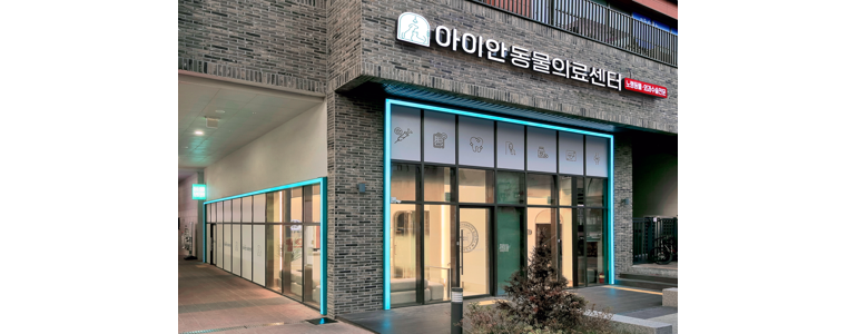 서울 강동구 동물병원