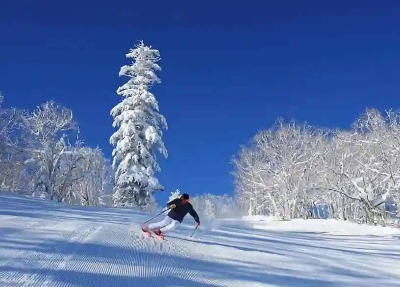 후라노 스키장 리프트권 구매 및 파우더 스노우 슬로프 전경
