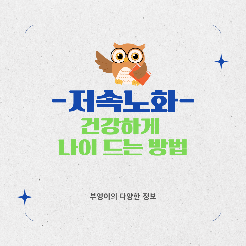 저속 노화란? 건강하게 나이 드는 법과 최신 트렌드 완벽 정리