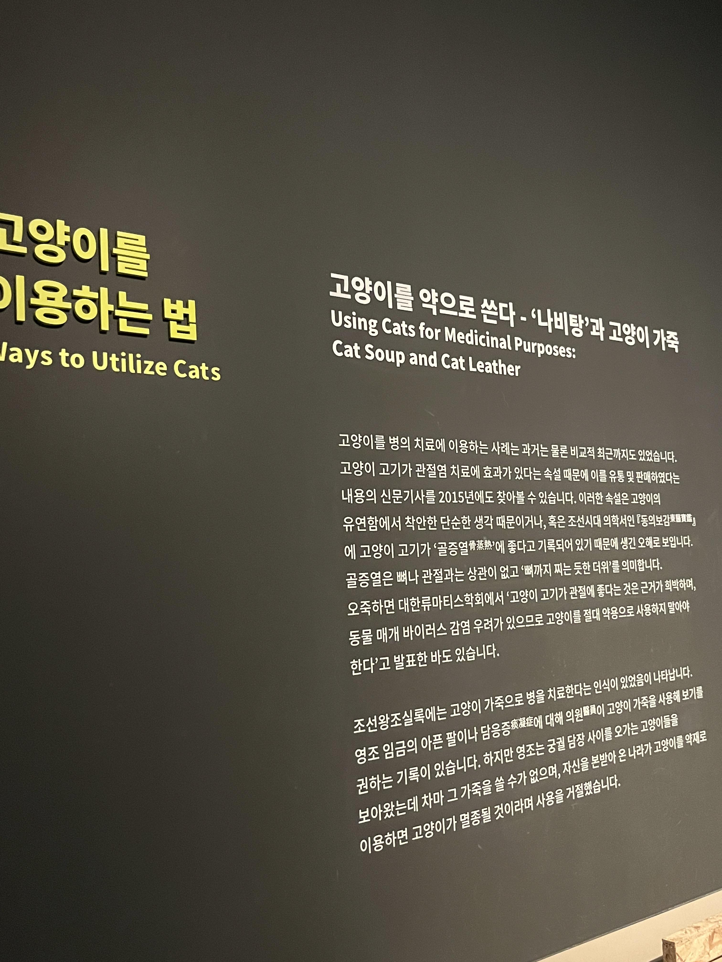 요물 우리를 홀린 고양이