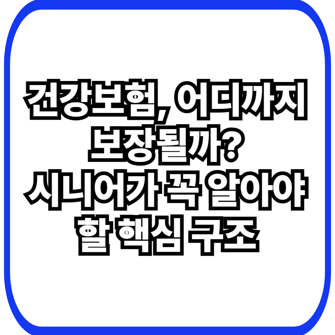 시니어 건강보험 구조 한눈에 이해하기