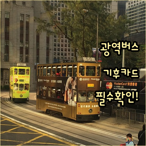 서울시 면허 광역버스 확인법과 기후동..