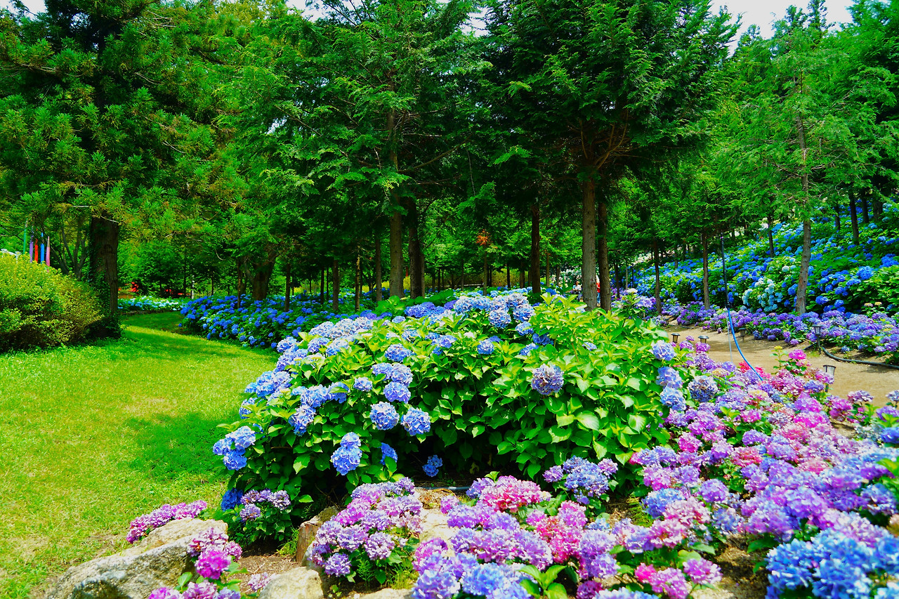 보성 1인 가구 생활 루틴 분석— 실제 거주자의 하루 흐름을 기반으로 정리한 보성읍 ‘현실 루틴 지도’