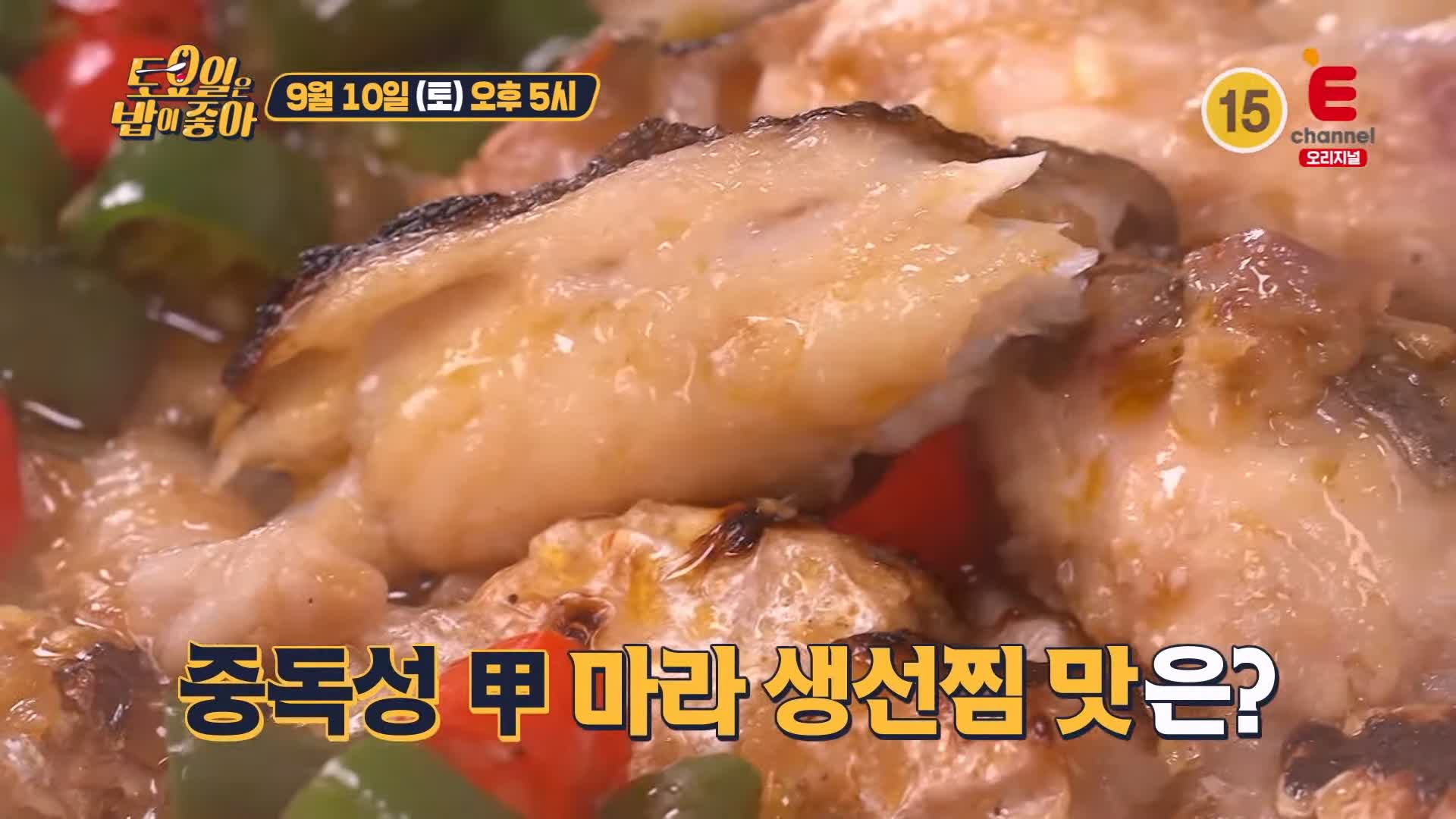 토요일은 밥이좋아 토밥 국내산 홍석천 얼얼한 중독성 듬뿍 중국 정통 사천식 마라 생선찜 카오위 서초구 강남역 맛집 추천 토밥즈 방송정보