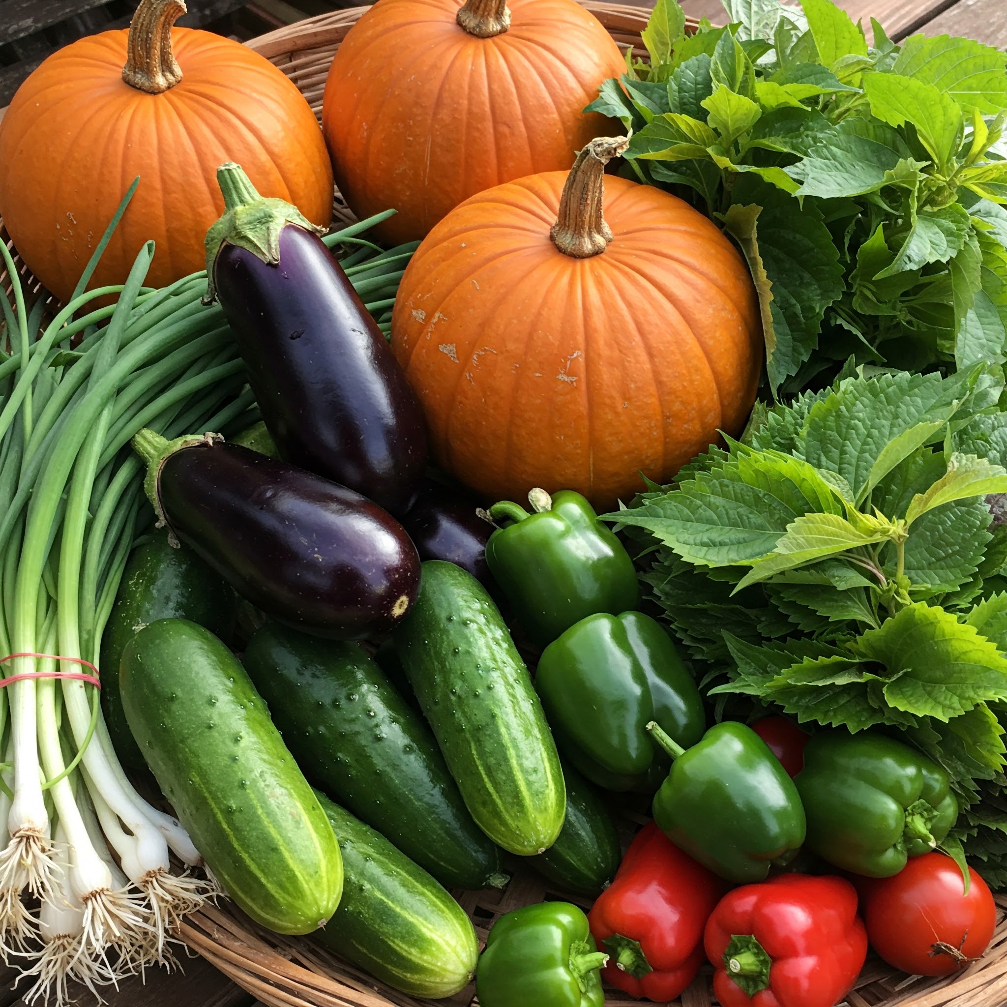 계절의 변화를 세분화한 24 절기 중 '입추' 이해하기