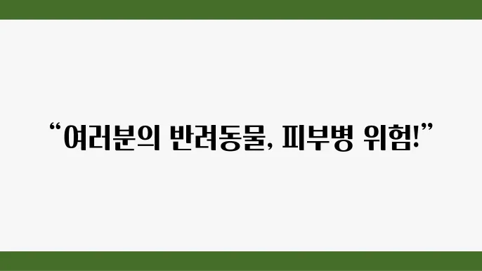 강아지와 고양이의 피부병 증상과 예방 방법
