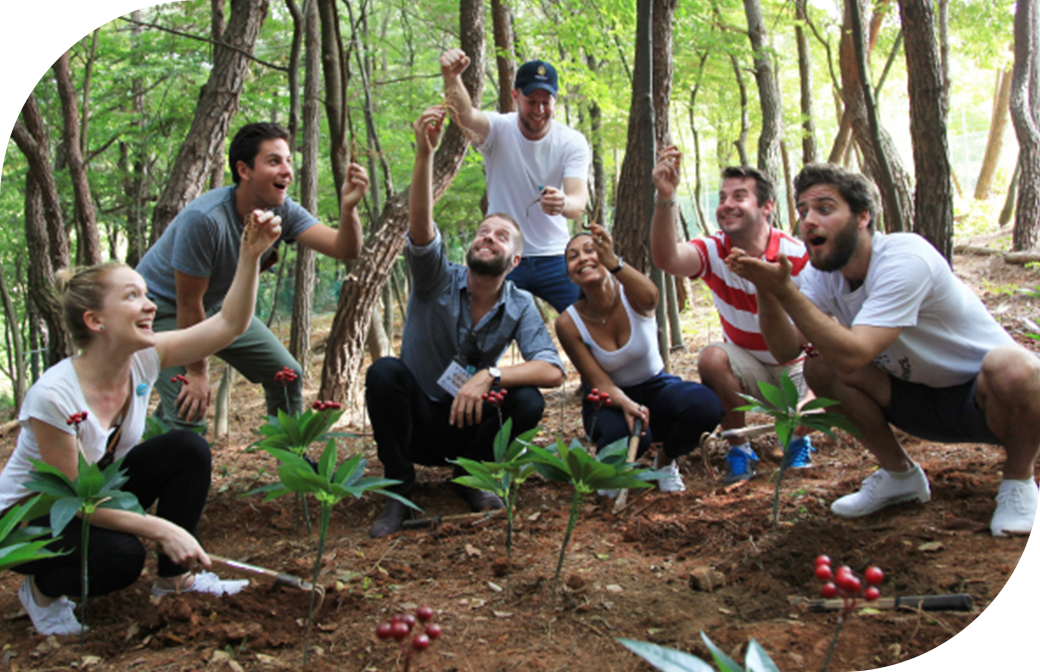 2025 함양산삼축제 리뷰 &ndash; 천년의 산삼을 체험할 최고의 가을 여행!