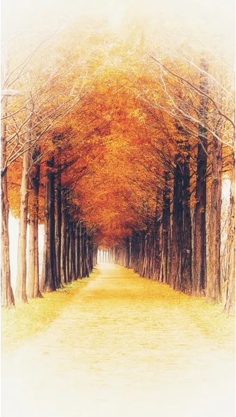 풍경 사진 잘 찍는 방법 꿀팁_17