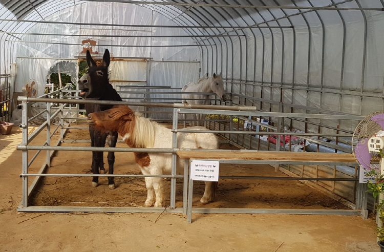 덕평 공룡수목원