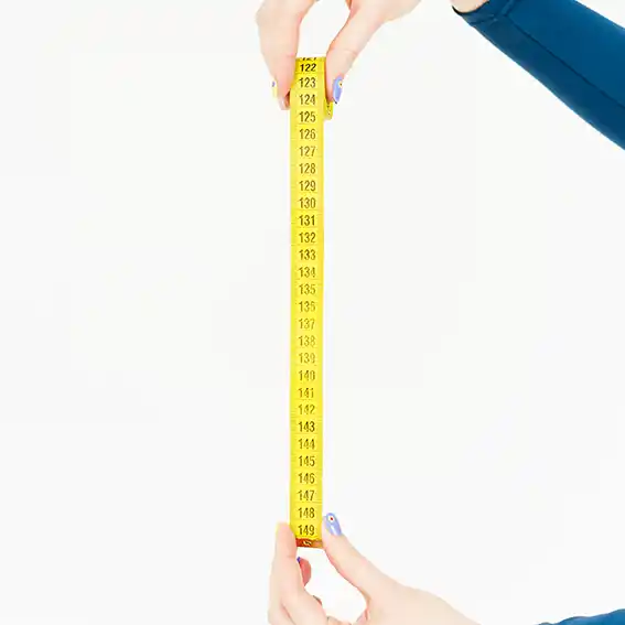 L-세린과 인지질 복합체