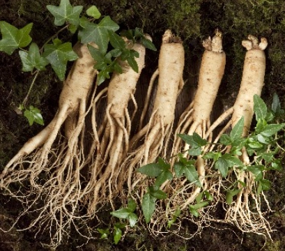 한국의 떡 종류 인삼떡