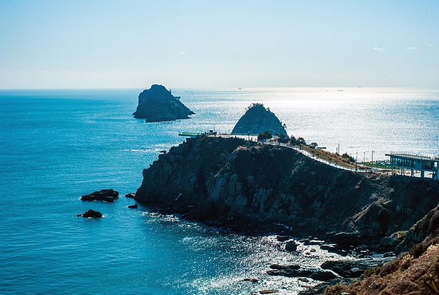 생체 신호 상관 네트워크의 붕괴 패턴 우리가 수치 사이의 연결이 끊기는 순간을 읽어야 하는 이유