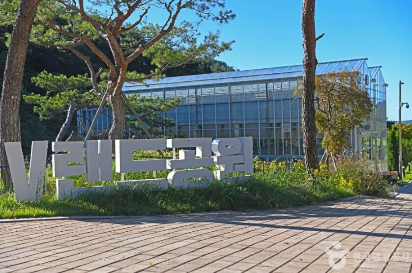 강진 가볼만한곳 베스트 10