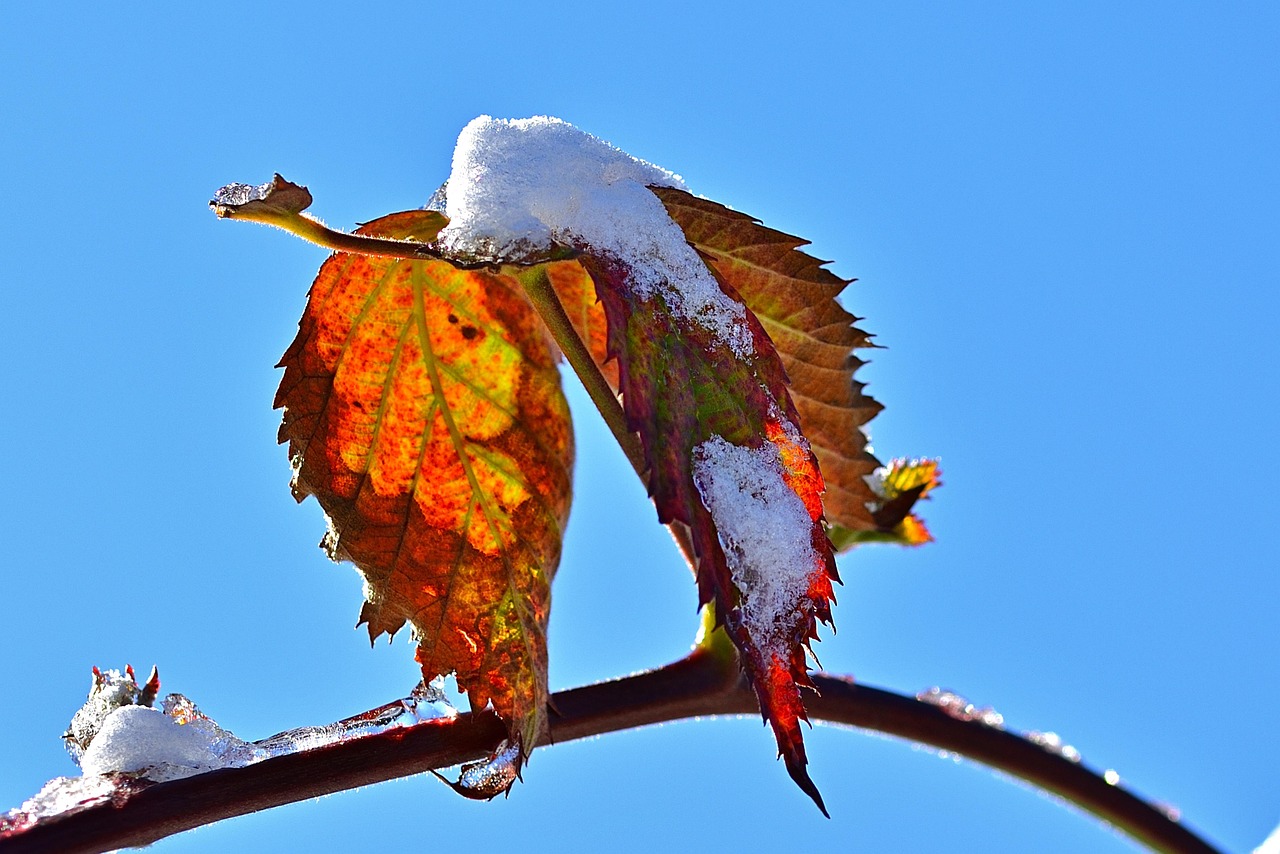 5월 인사말 모음! 40가지 꼭 전하세요