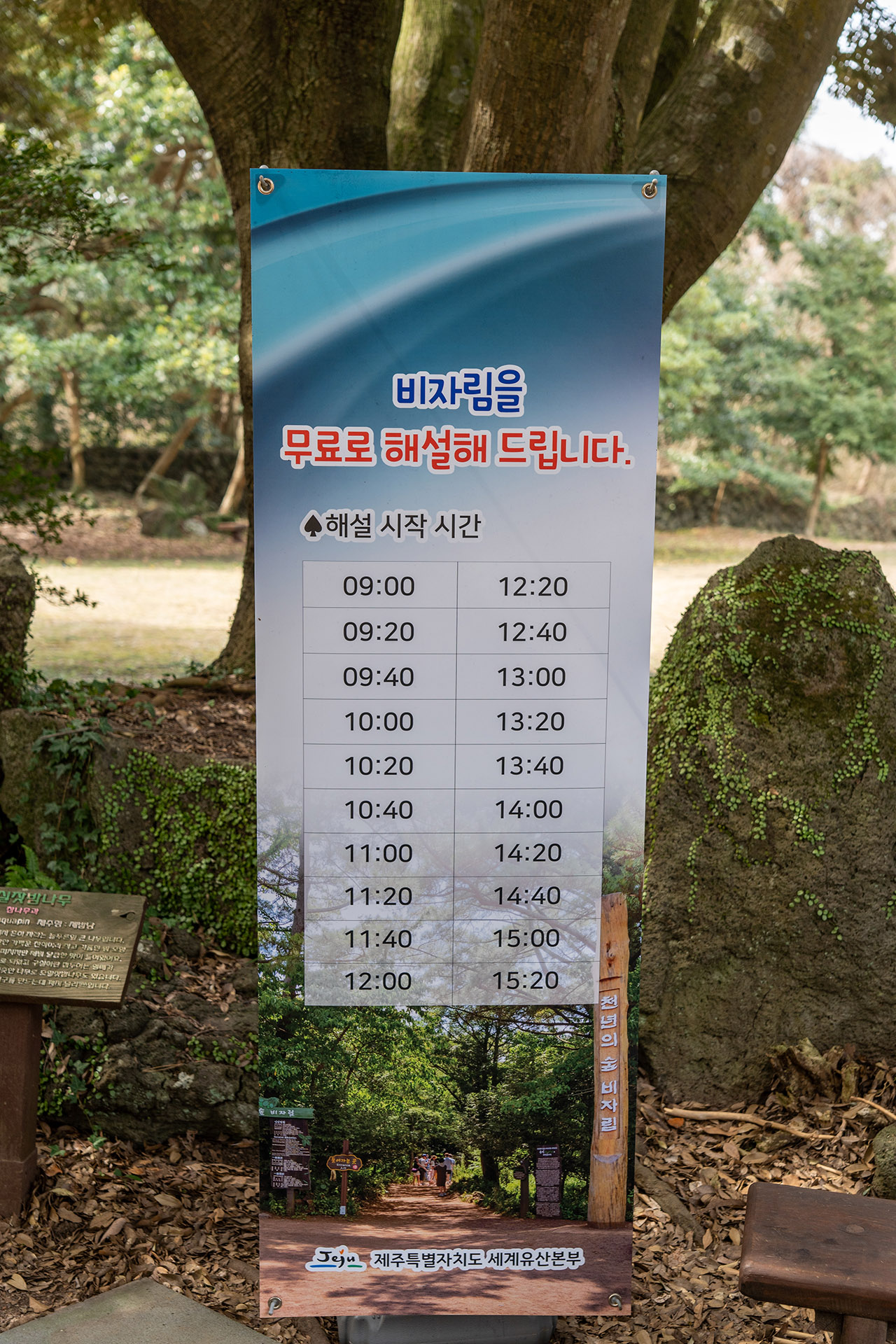 비자림