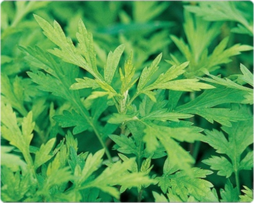 쑥국 맛있게 끓이는 법