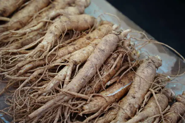 기관지 건강과 미세먼지 해독에 좋은 도라지 뿌리