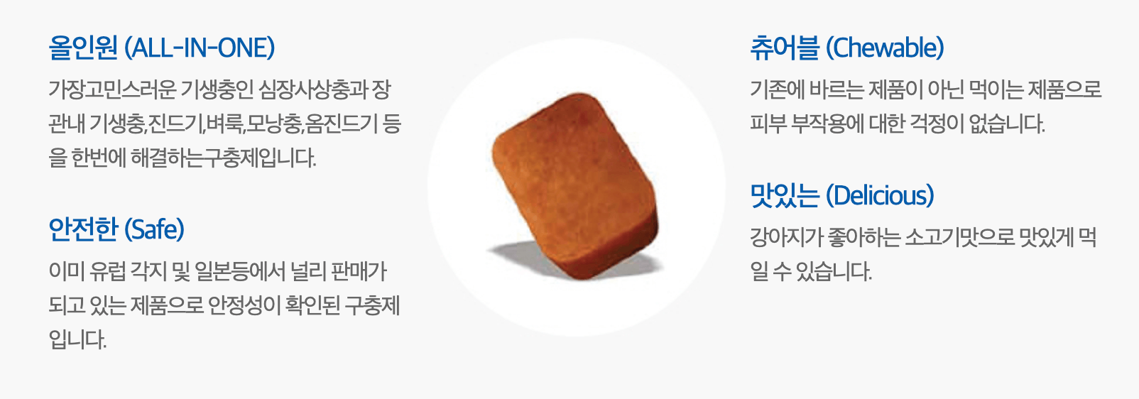 넥스가드스펙트라-안전