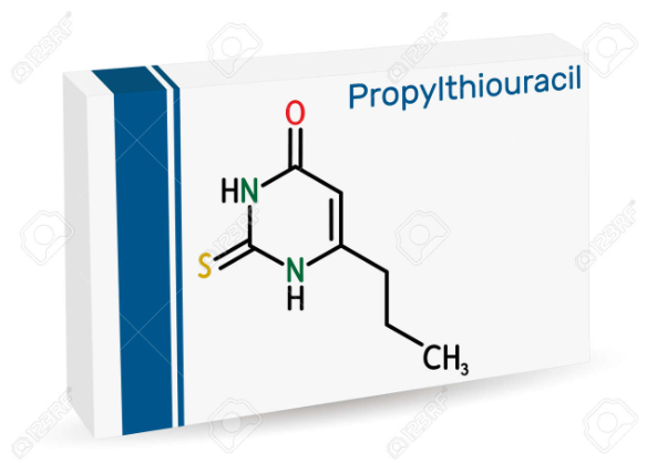 프로필티오우라실(PTU)