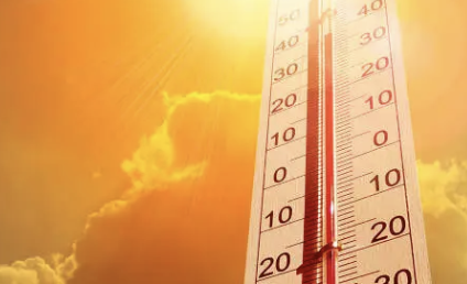 단백뇨의 원인 12