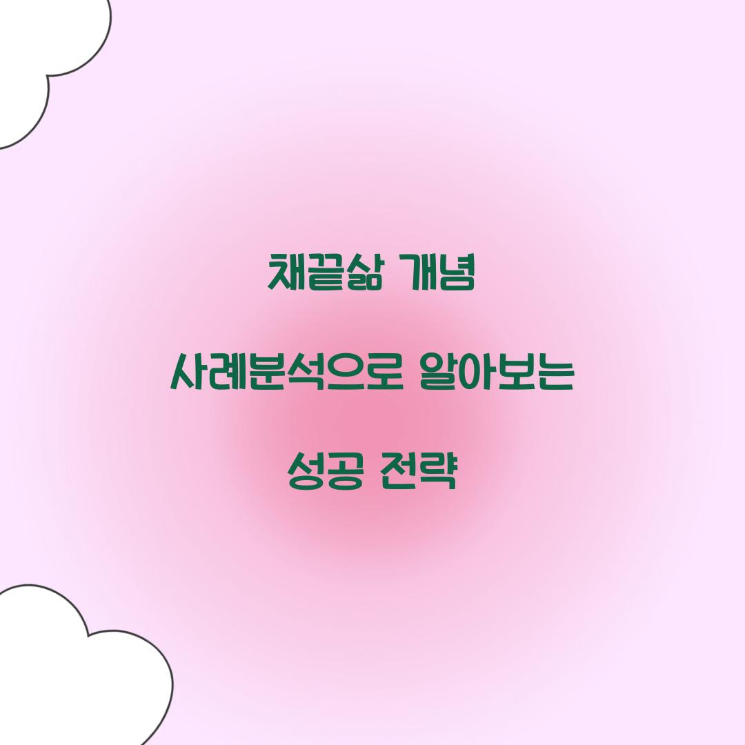 채끝삶 개념 사례분석