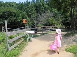 홍천 가볼만한곳 베스트 휘바핀란드