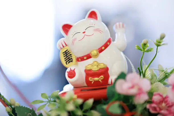 무료 신년운세 토정비결