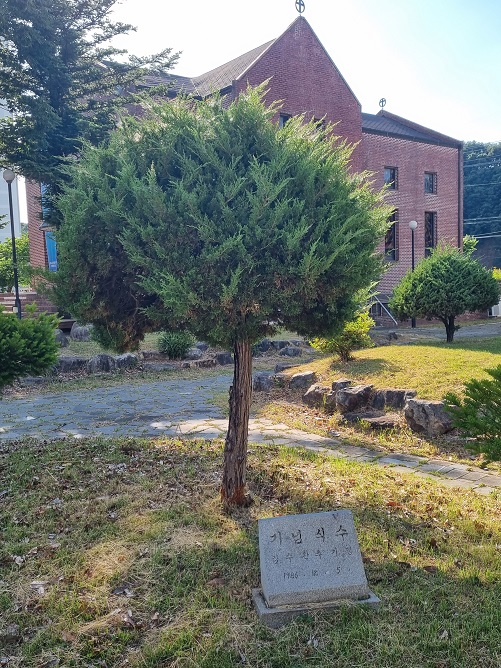 화랑성당 기념식수