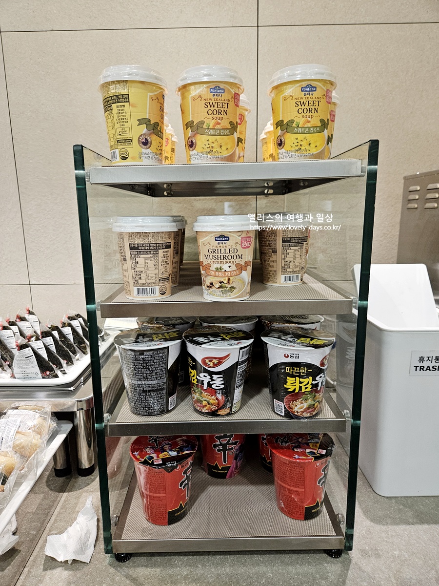 김해공항 국제선 대한항공(KAL) 라운지 운영시간 입장조건 메뉴 후기