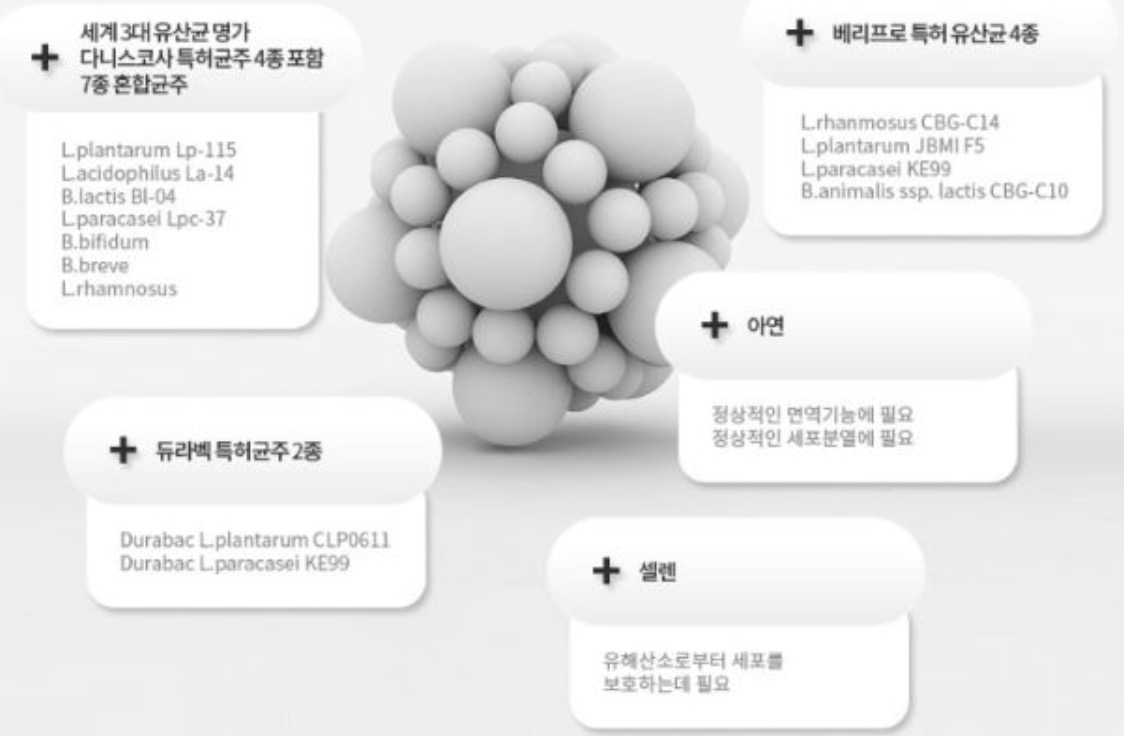 블랙베리-프로바이오틱스-효능-효과