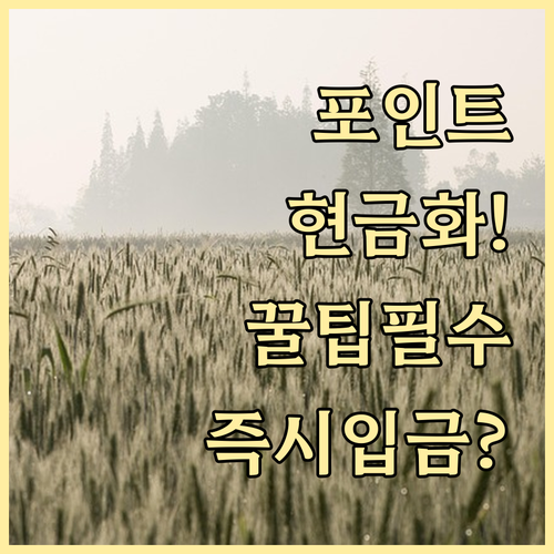 우리카드 포인트 현금화 모아포인트 우..