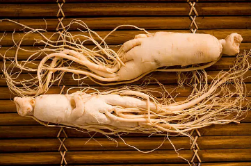 산삼배양근 효능 총정리 1