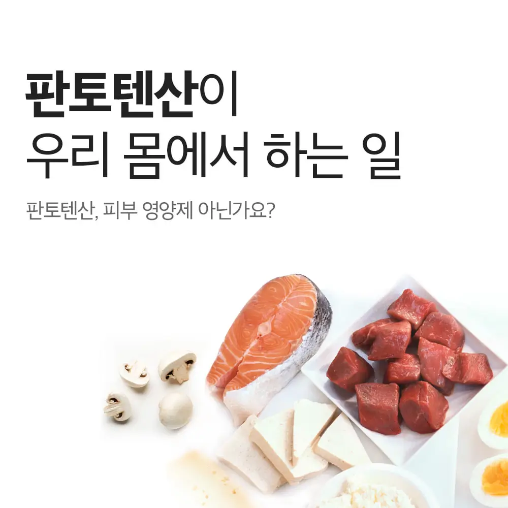 판토텐산