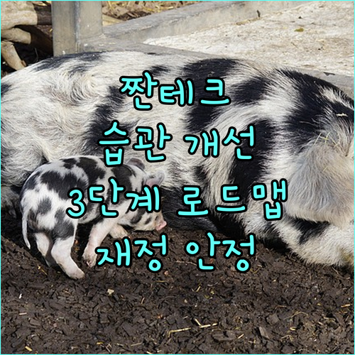 소비 습관 개선 프로젝트: 재정적 안