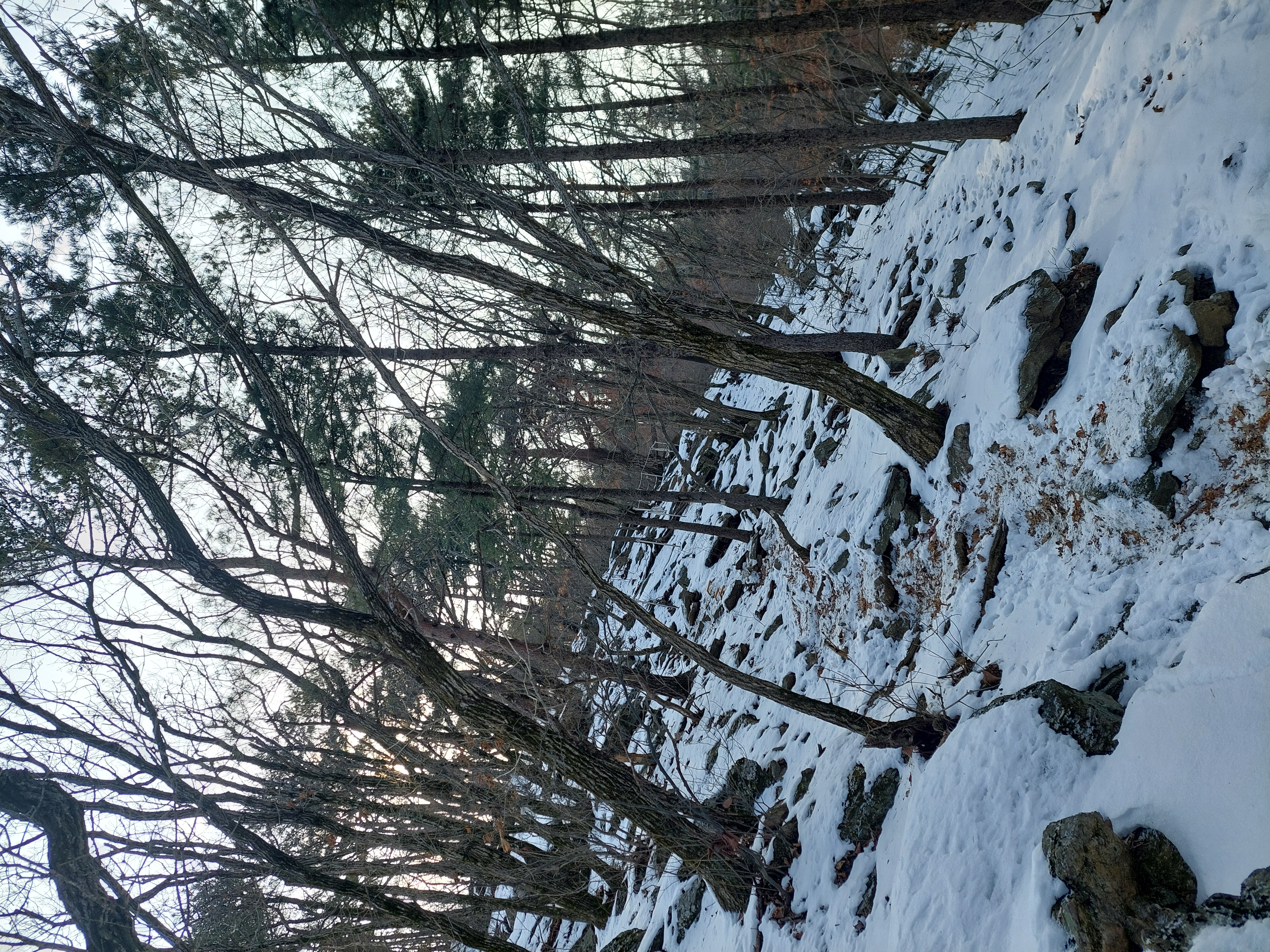 유명산