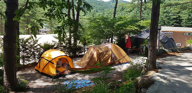 포천 나무새캠핑장 소개