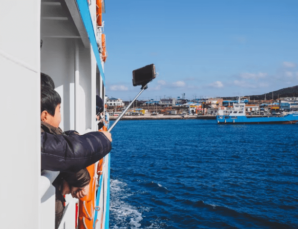 반려견과 제주여행&amp;#44; 펫팸족을 위한 완벽 가이드