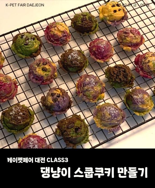 케이펫페어 체험클래스