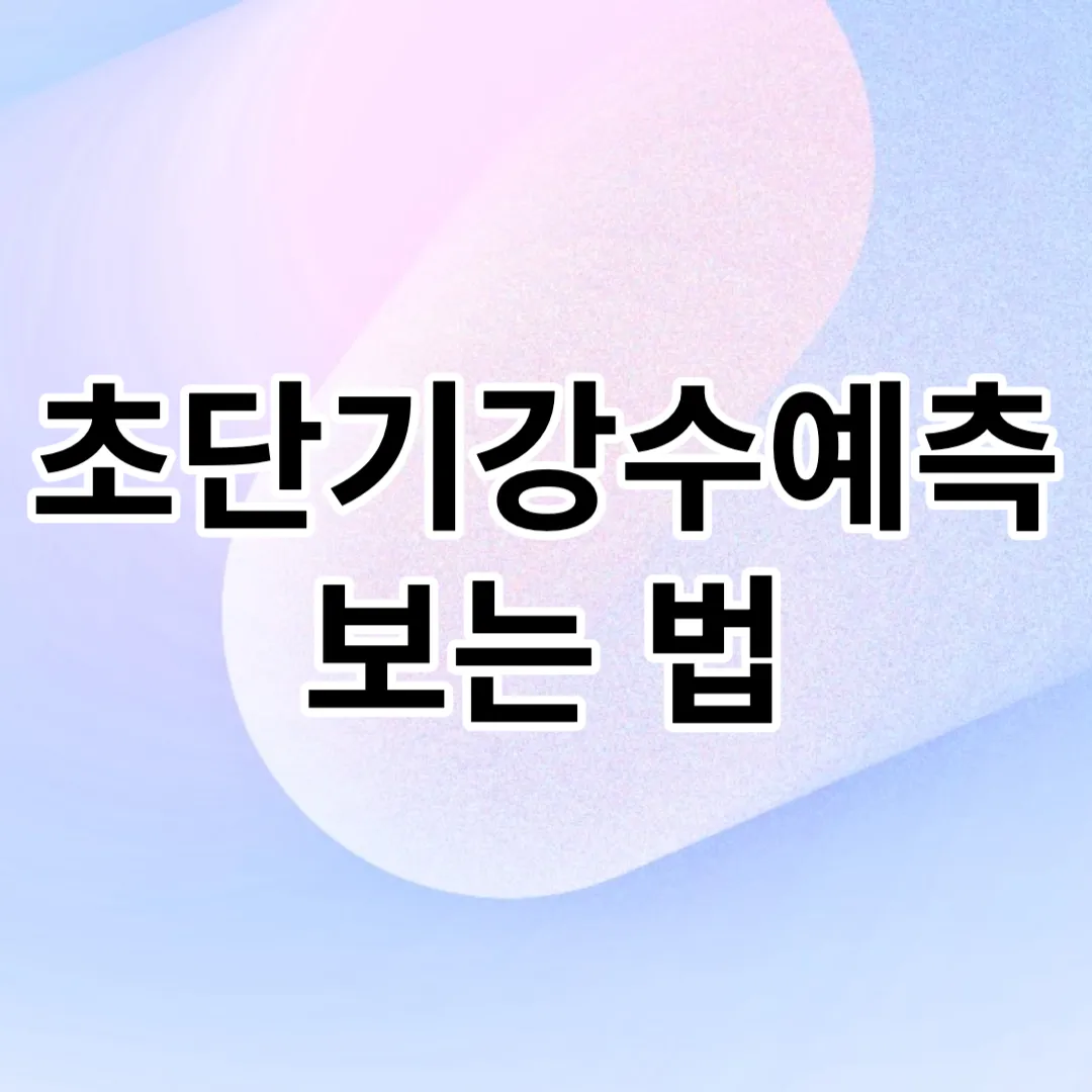 초단기강수예측-보는-법-(실시간-정확한-서울-날씨-확인하기)