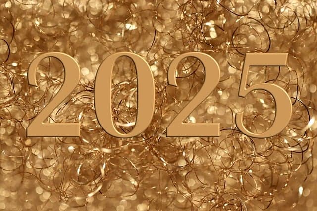 2025년 새로 등재된 기네스북 기록 수는 몇 개일까?